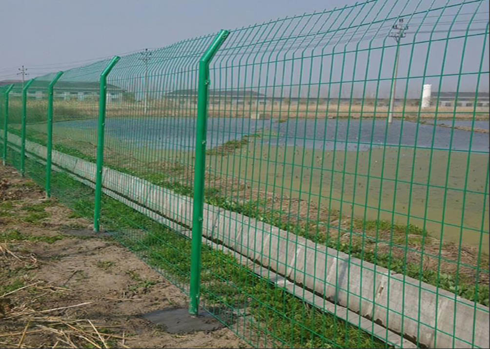 山东省某县乡公路安全隔离项目 —— 犇顶双边丝护栏网守护乡村出行安全(图1)